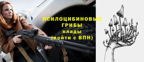 прущие крисы Пересвет