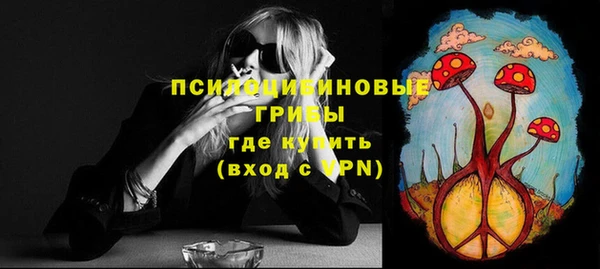 прущие крисы Пересвет