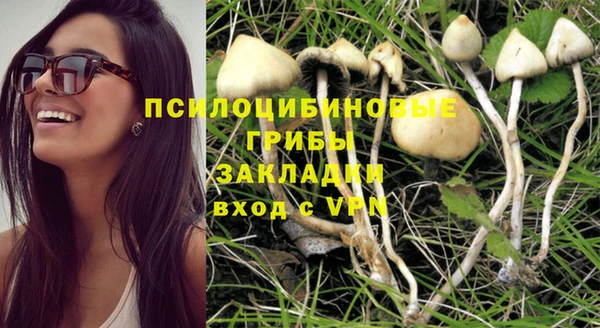 синтетический гашиш Балахна